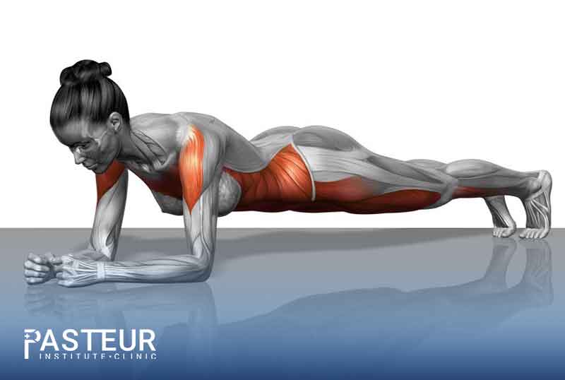Bài tập Plank có thể giảm mỡ bụng