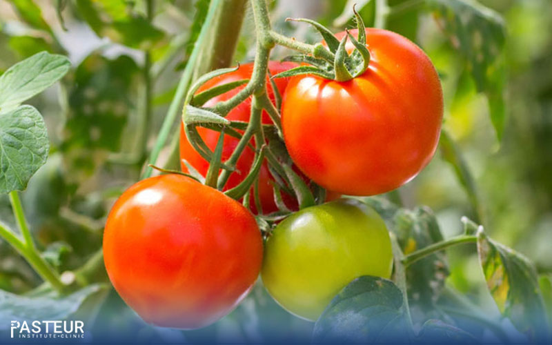 Cà chua là loại quả được yêu thích và sử dụng rất nhiều khi giảm cân, làm đẹp da.